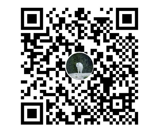 MoMo QR